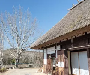 和モダン住宅の外観デザイン成功の秘訣とは？